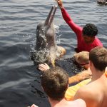 Delfin mit Schwimmern